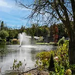 By Pond In Eindhoven * Veldhoven