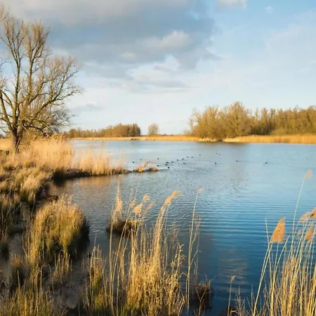 By Pond In Eindhoven Veldhoven
