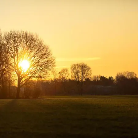 By Pond In Eindhoven Chalet Veldhoven