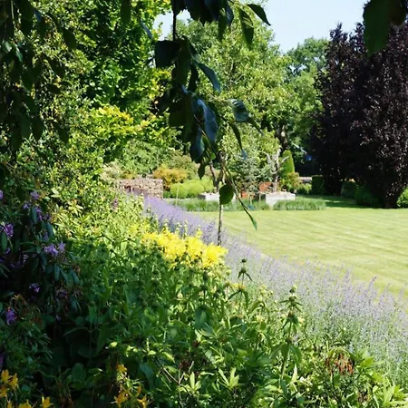 By Pond In Eindhoven Veldhoven