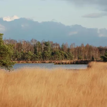 By Pond In Eindhoven Chalet