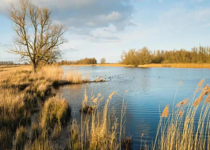 By Pond In Eindhoven Veldhoven