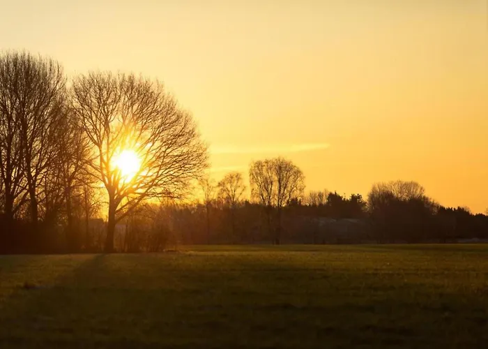 By Pond In Eindhoven Chalet Veldhoven
