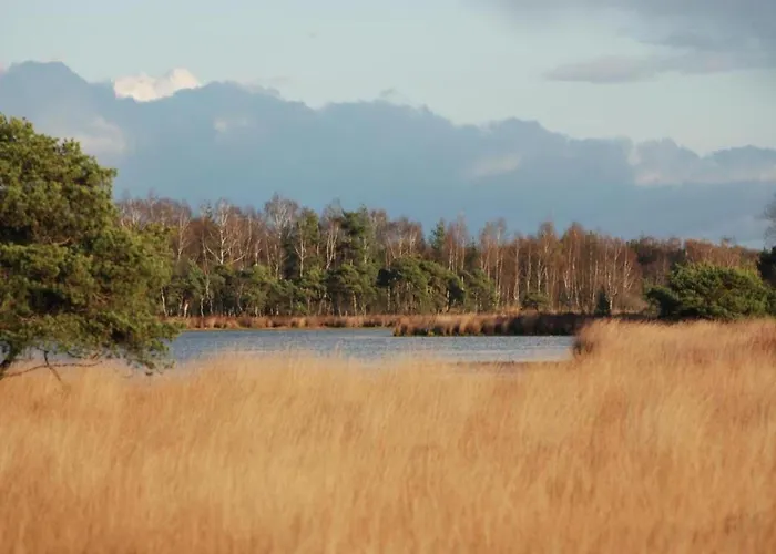 By Pond In Eindhoven Chalet