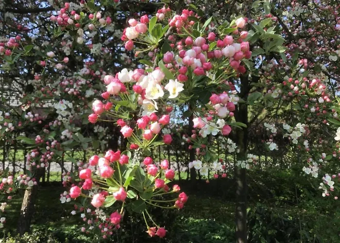 By Pond In Eindhoven Chalet *