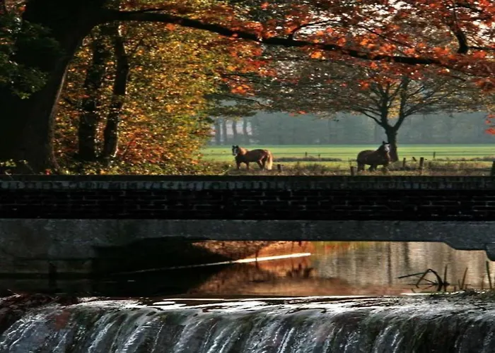 Chalet By Pond In Eindhoven