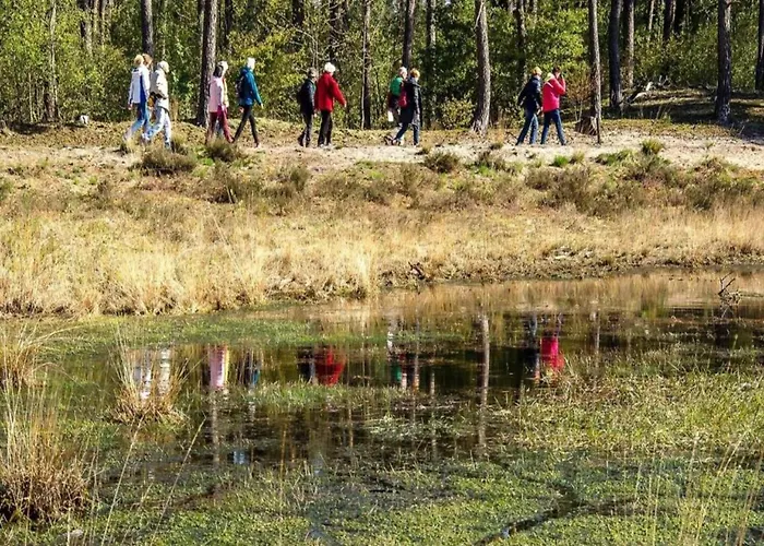 By Pond In Eindhoven *