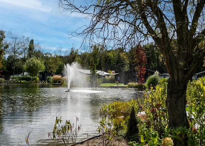 By Pond In Eindhoven * Veldhoven