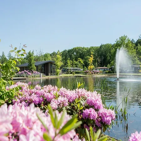 בקתה By Pond In Eindhoven ולדהובן