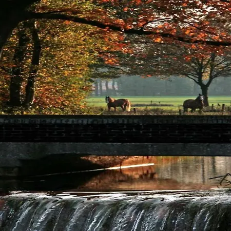 בקתה By Pond In Eindhoven