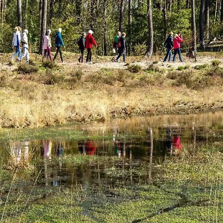 By Pond In Eindhoven *
