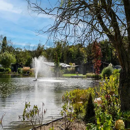 By Pond In Eindhoven * ולדהובן